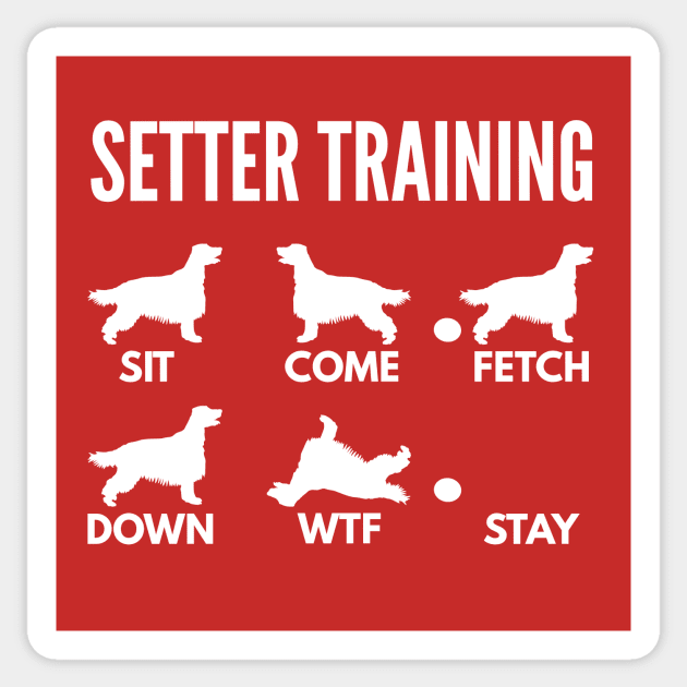 Irish Setter Training Setter Dog Tricks Sticker by DoggyStyles